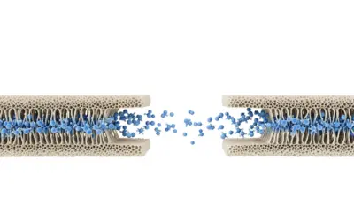 Diffusion d’une espèce à travers une membrane poreuse