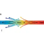 Flux de matière et de chaleur couplés