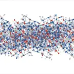 Modèle d'adsorption de Langmuir