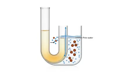 Pression osmotique d’une solution de saccharose