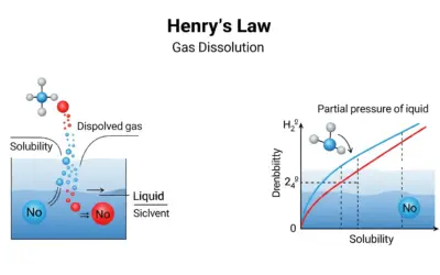 Loi de Henry et la Dissolution des Gaz